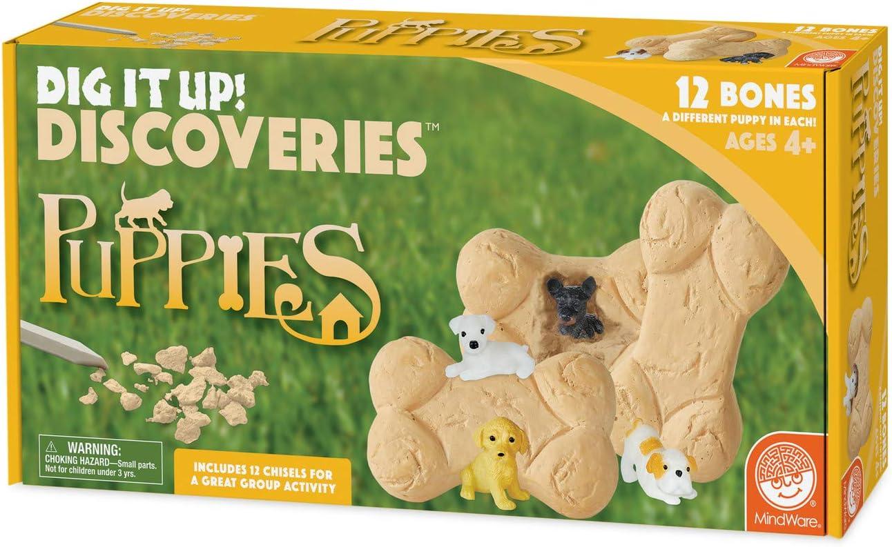 imageMindWare Dig it Up Puppies Excavation Kit Educational Toys for Kids 4 and Up Dig Kit with 12 Bones 12 Puppy Figurines 12 Chisels Ideal for Group Activities Events or Classroom Brain Breaks