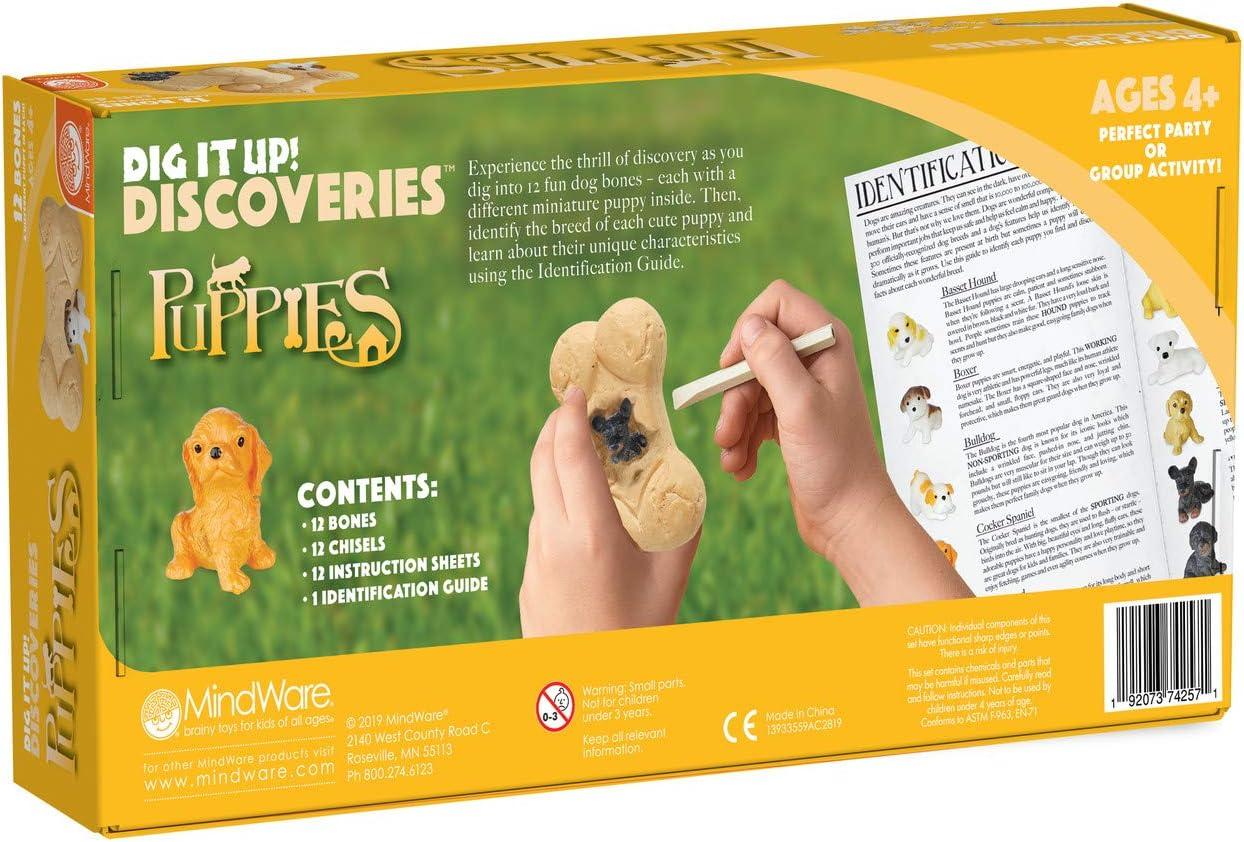 imageMindWare Dig it Up Puppies Excavation Kit Educational Toys for Kids 4 and Up Dig Kit with 12 Bones 12 Puppy Figurines 12 Chisels Ideal for Group Activities Events or Classroom Brain Breaks