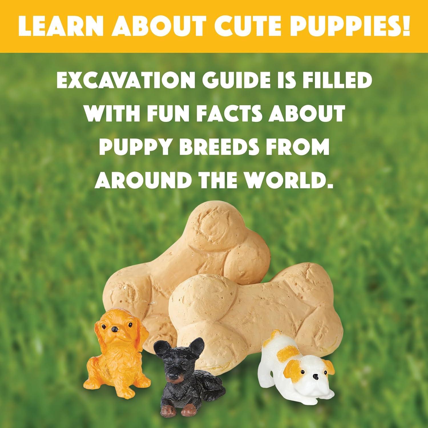 imageMindWare Dig it Up Puppies Excavation Kit Educational Toys for Kids 4 and Up Dig Kit with 12 Bones 12 Puppy Figurines 12 Chisels Ideal for Group Activities Events or Classroom Brain Breaks