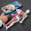 Human Body Anatomy Model Kit – 31-Piece Interactive STEM Set with 9 Squishy Organs, Bones, Muscles & Blood Vessels, Forceps & Discovery Guide – Educational Science Tool for Kids 6+