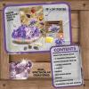 MindWare Dig It Up Giant Gem Discovery Kit – Gemstone Dig Kit Offers Geology for Kids with 12 Real Polished Hidden Gemstones – Includes 1 Giant Gem, Chiseling Tools, Gemstone Poster – Ages 4+