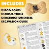 MindWare Dig it Up! Puppies Excavation Kit – Educational Toys for Kids 4 and Up – Dig Kit with 12 Bones, 12 Puppy Figurines, 12 Chisels – Ideal for Group Activities, Events or Classroom Brain Breaks