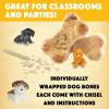 MindWare Dig it Up! Puppies Excavation Kit – Educational Toys for Kids 4 and Up – Dig Kit with 12 Bones, 12 Puppy Figurines, 12 Chisels – Ideal for Group Activities, Events or Classroom Brain Breaks