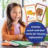 Peaceable Kingdom World of Eric Carle Discover and Learn Scavenger Hunt Game, Interactive Toddler Learning Cards for Colors Shapes and Numbers, Educational Activity Ages 3+