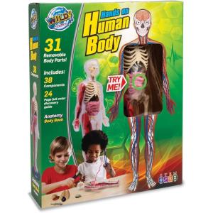 Human Body Anatomy Model Kit – 31-Piece Interactive STEM Set with 9 Squishy Organs, Bones, Muscles & Blood Vessels, Forceps & Discovery Guide – Educational Science Tool for Kids 6+